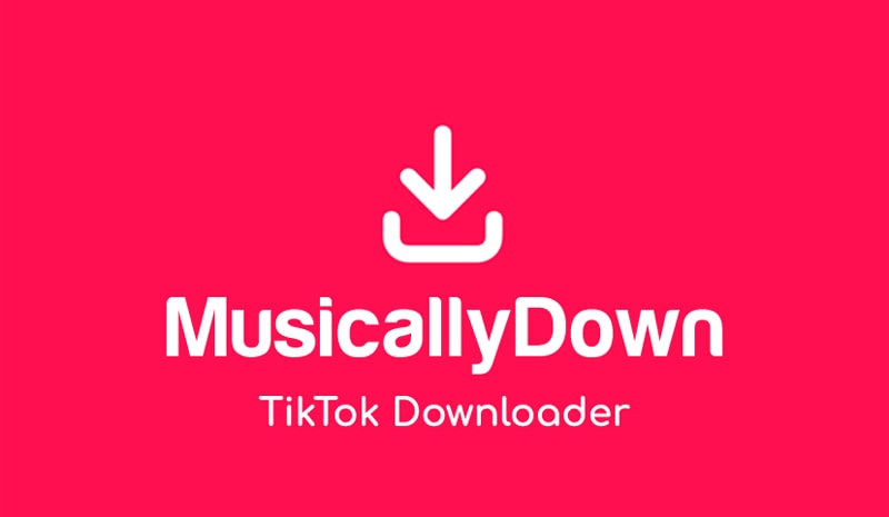 Tiktok Downloader